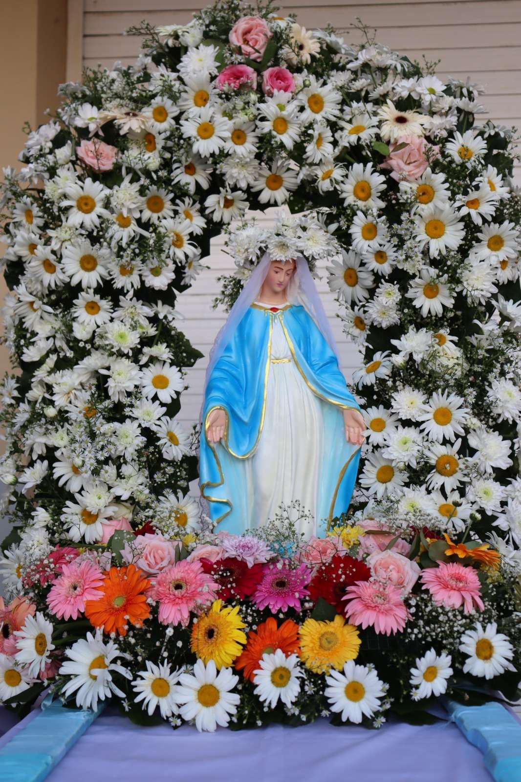 A Month of Grace and Devotion: May Celebrations at HFC